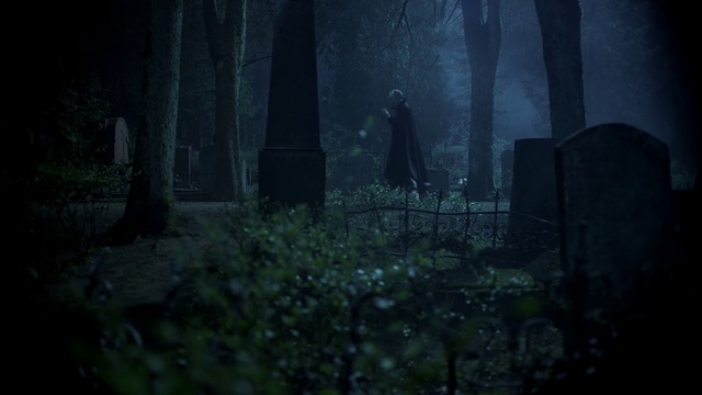 Video Reference: Plant, Atmosphere, Vertebrate, Natural landscape, Branch, Wood, Organism, Trunk, Terrestrial plant, Grass