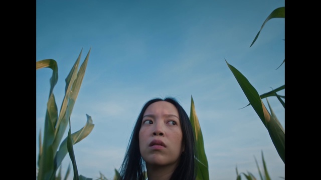Video Reference: Sky, Plant, People in nature, Nature, Flash photography, Terrestrial plant, Happy, Grass, Meadow, Fun