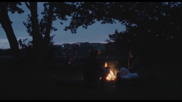 Video Reference: Sky, Tree, Natural landscape, Bonfire, Fire, Flash photography, Heat, Gas, Plant, Tints and shades