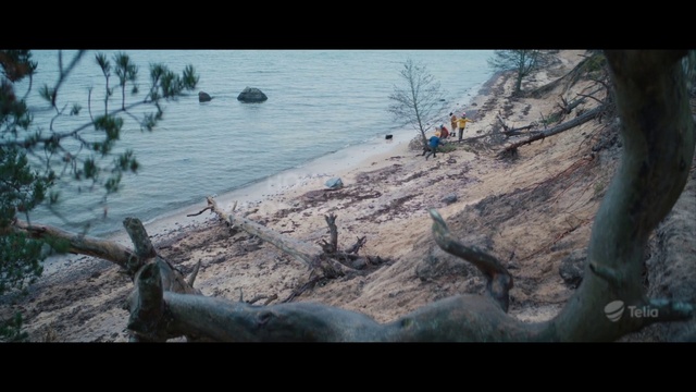 Video Reference: Water, Plant, Branch, Tree, Wood, Coastal and oceanic landforms, Lake, Trunk, Landscape, Sky