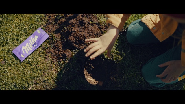 Video Reference: People in nature, Leaf, Gesture, Plant, Grass, Tints and shades, Road surface, Wood, Asphalt, Thigh