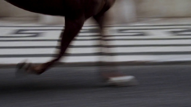 Video Reference: Dog breed, Dog, Carnivore, Wood, Working animal, Flooring, Floor, Fawn, Companion dog, Tints and shades