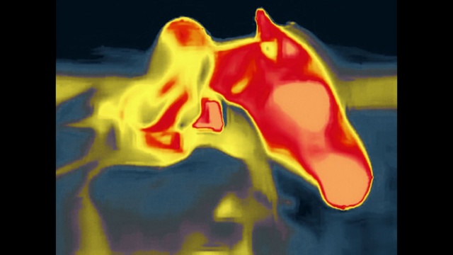 Video Reference: Organism, Gesture, Font, Gas, Art, Electric blue, Flame, Paint, Heat, Painting