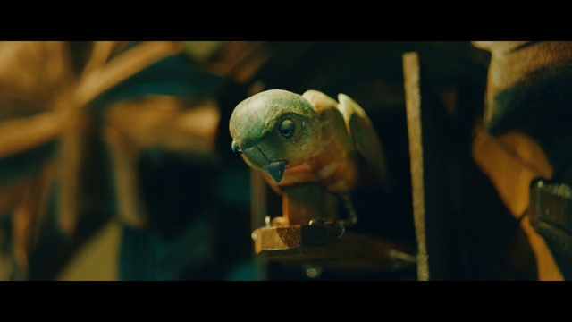 Video Reference: Bird, Macaw, Parrot, Organism, Reptile, Art, Macro photography, Lovebird, Amphibian, Still life photography