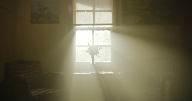 Video Reference: Window, Building, Fixture, Shade, Wood, Interior design, Wall, Flooring, Hardwood, Tints and shades