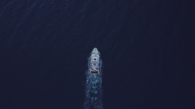 Video Reference: Water, Sky, Liquid, Plant, Font, Tree, Freezing, Electric blue, Space, Art