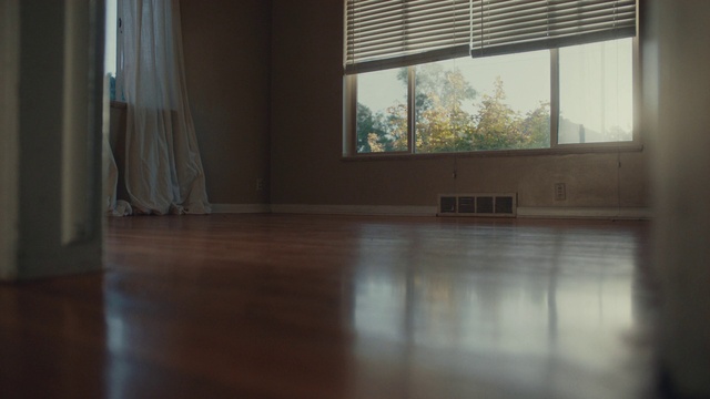 Video Reference: Window, Window blind, Wood, Hall, Shade, House, Floor, Flooring, Curtain, Hardwood