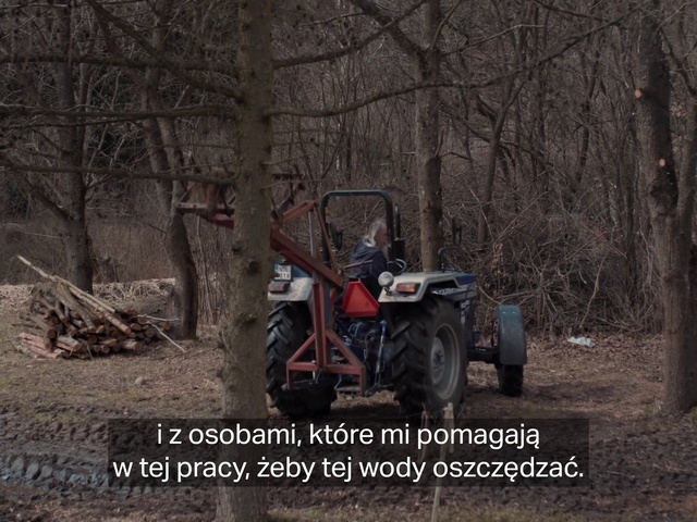 Video Reference: Wheel, Tire, Plant, Vehicle, Automotive tire, Tread, Tree, Wood, Automotive design, Motor vehicle