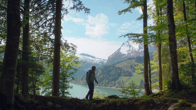 Video Reference: Sky, Plant, Cloud, Mountain, Leaf, People in nature, Natural landscape, Tree, Highland, Larch