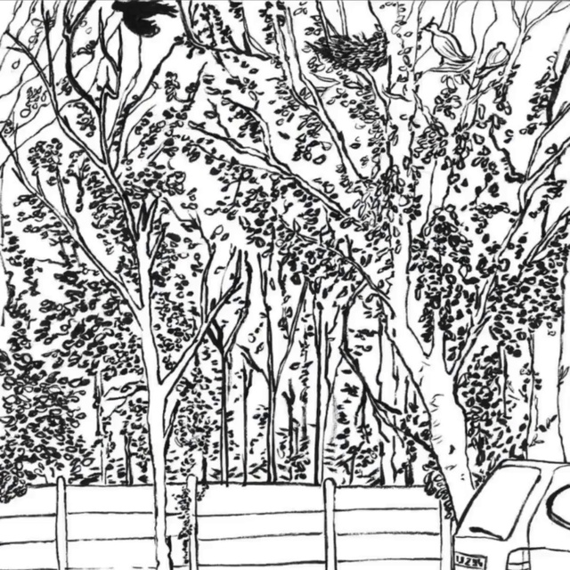 Video Reference: Plant, Leaf, Branch, Twig, Tree, Art, Woody plant, Trunk, Grass, Rectangle