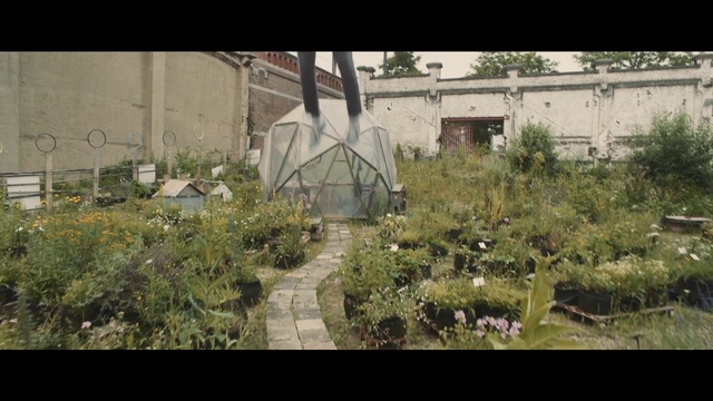 Video Reference: Plant, Building, Land lot, Grass, Urban design, Adaptation, Residential area, Shrub, Tints and shades, Landscape