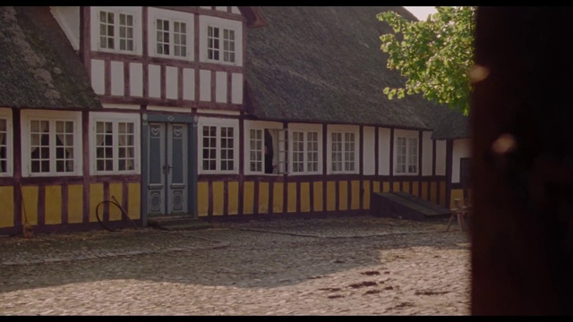 Video Reference: Window, Building, Wood, Road surface, Residential area, Plant, Real estate, Rural area, Facade, Landmark