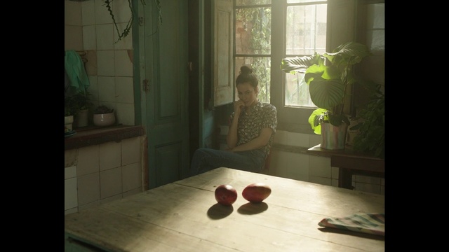 Video Reference: Window, Wood, Interior design, Floor, Flooring, Rectangle, Tints and shades, Hardwood, Glass, Art