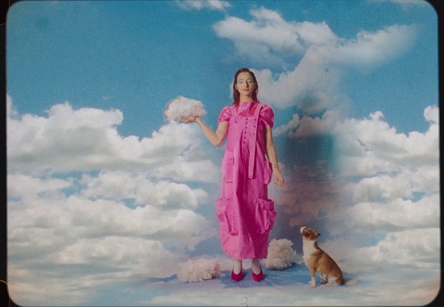 Video Reference: Cloud, Sky, Dog, Photograph, Carnivore, People in nature, Rectangle, Happy, Fawn, Companion dog