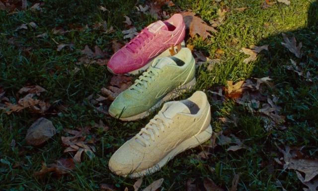 Video Reference: Plant, Terrestrial plant, Grass, Groundcover, Walking shoe, Athletic shoe, Human leg, Carmine, Outdoor shoe, Tree