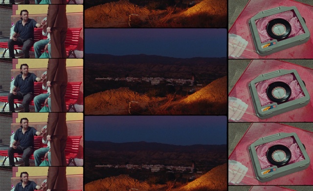 Video Reference: Clothing, Photograph, Ecoregion, Plant, Green, Nature, Organism, Textile, Art, Line