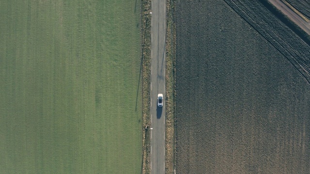 Video Reference: Wood, Grey, Automotive tire, Grass, Asphalt, Road surface, Plant, Vehicle, Pattern, Landscape
