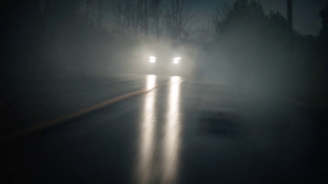 Video Reference: Atmosphere, Automotive lighting, Car, Vehicle, Road surface, Fog, Headlamp, Asphalt, Atmospheric phenomenon, Tree