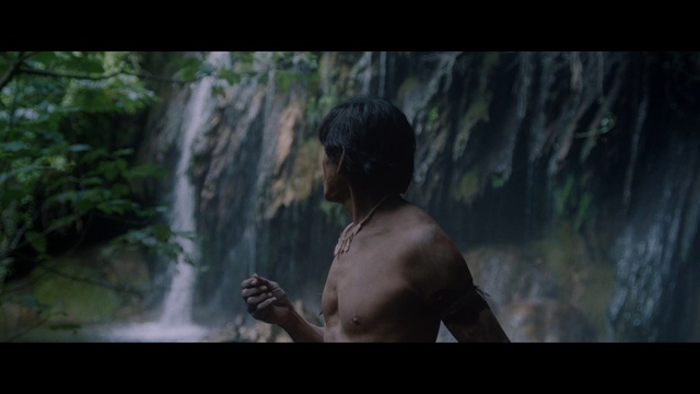 Video Reference: Water, Flash photography, Terrestrial plant, Waterfall, People in nature, Tree, Natural landscape, Spring, Forest, Landscape