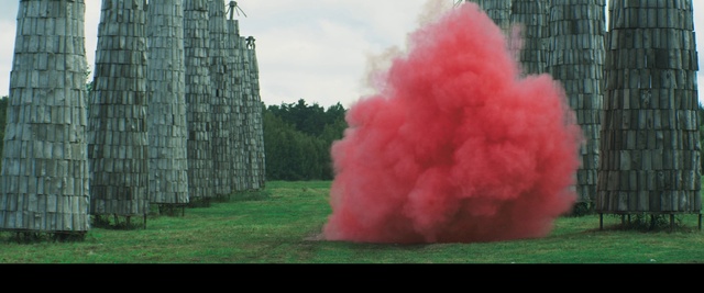 Video Reference: Plant, Sky, Tree, Grass, Cloud, Tints and shades, Automotive tire, Shrub, Trunk, Magenta