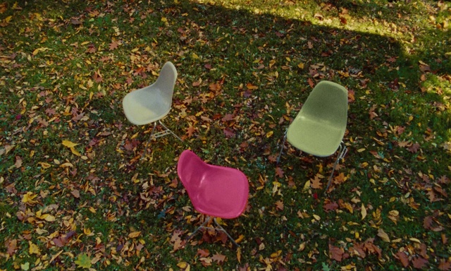 Video Reference: Shoe, Petal, Road surface, Grass, Flooring, Groundcover, Tints and shades, Lawn, Soil, Carmine