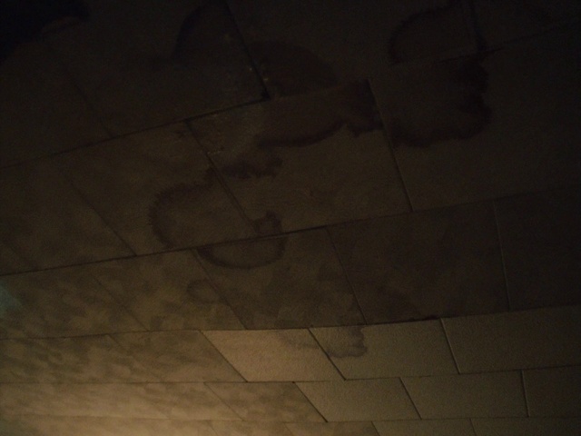 Video Reference: Brown, Wood, Road surface, Grey, Flooring, Floor, Tints and shades, Hardwood, Tile flooring, Space