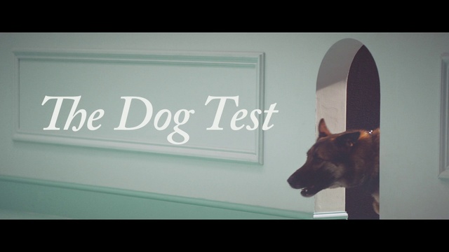 Video Reference: Product, Carnivore, Rectangle, Wood, Font, Technology, Event, Whiskers, Room, Brand