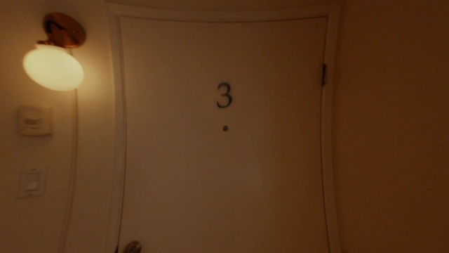 Video Reference: Brown, Wood, Tints and shades, Electricity, Lamp, Ceiling, Door, Plaster, Space, Font