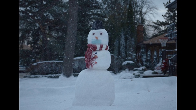 Video Reference: Snowman, Snow, Window, Tree, Freezing, Winter, Event, Art, Precipitation, Carmine