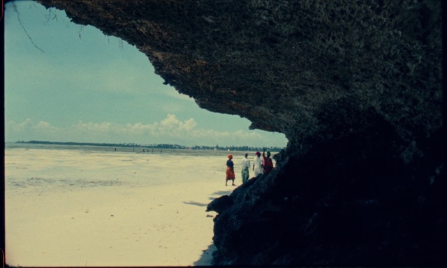 Video Reference: Cloud, Water, Sky, Tree, Coastal and oceanic landforms, Beach, Sea cave, Tints and shades, Travel, Landscape