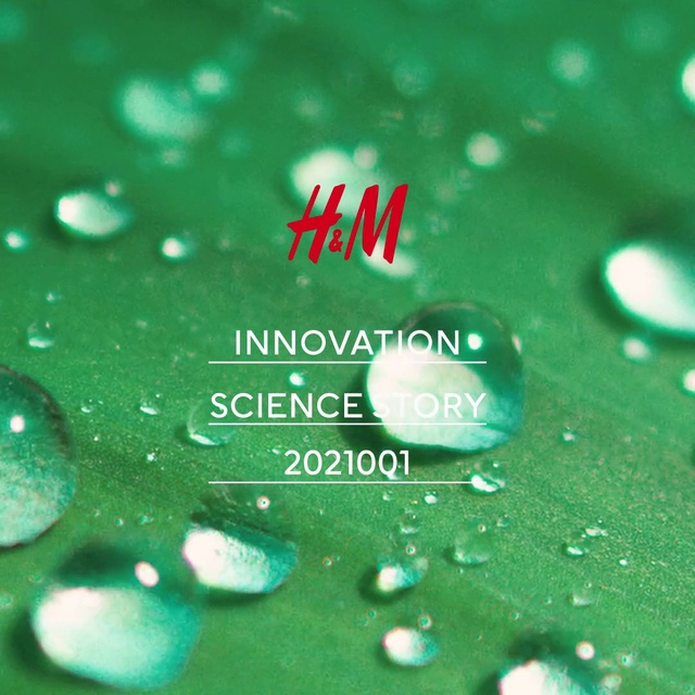 Video Reference: Water, Liquid, Plant, Petal, Fluid, Terrestrial plant, Organism, Moisture, Font, Aqua