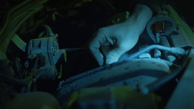 Video Reference: Flash photography, Motor vehicle, Jaw, Automotive lighting, Plant, Automotive tire, Grass, Helmet, Vehicle door, Tints and shades