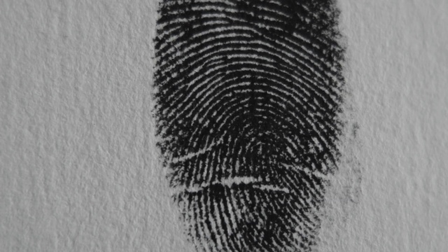 Video Reference: Eyelash, Grey, Art, Wood, Font, Pattern, Monochrome photography, Metal, Rectangle, Circle