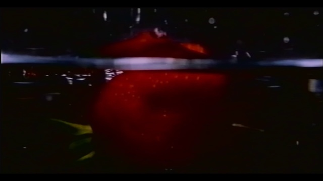 Video Reference: Liquid, Automotive lighting, Astronomical object, Window, Sky, Rectangle, Tints and shades, Automotive exterior, Entertainment, Space