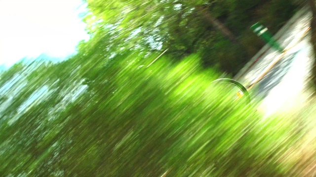 Video Reference: Automotive lighting, Terrestrial plant, Plant, Natural landscape, Wood, Trunk, Tints and shades, Grass, Road surface, Grass family