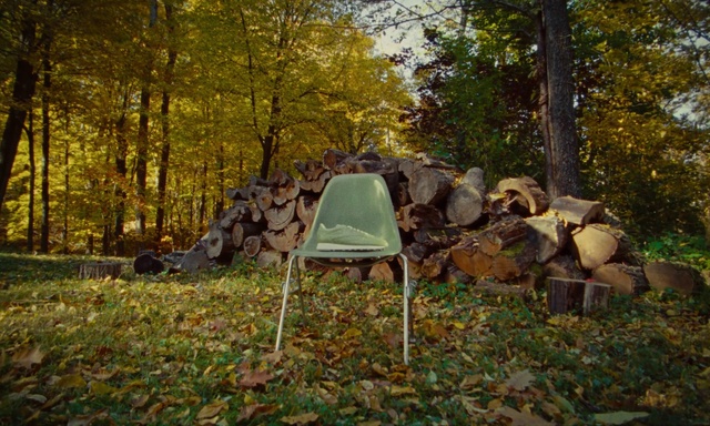 Video Reference: Plant, Tree, Branch, Shade, Yellow, Wood, Natural landscape, Grass, Outdoor furniture, Motor vehicle