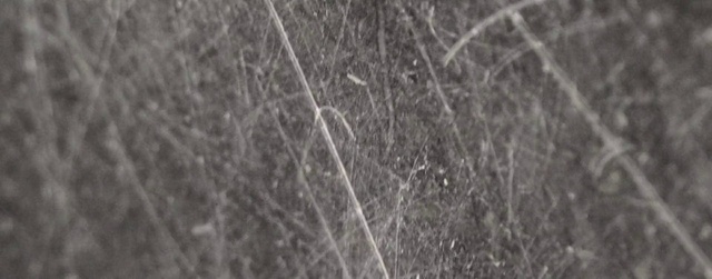 Video Reference: Twig, Grey, Natural material, Grass, Wood, Pattern, Monochrome photography, Darkness, Font, Event