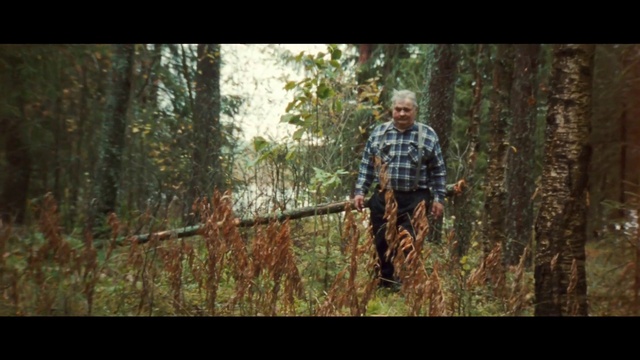 Video Reference: Plant, Military camouflage, People in nature, Tree, Wood, Natural landscape, Terrestrial plant, Grass, Trunk, Military uniform