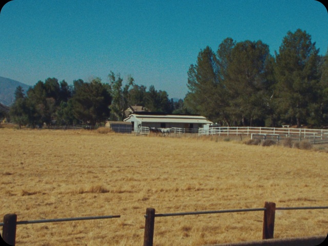 Video Reference: Plant, Sky, Ecoregion, Tree, Fence, Land lot, Shade, Grass, Natural landscape, Plain