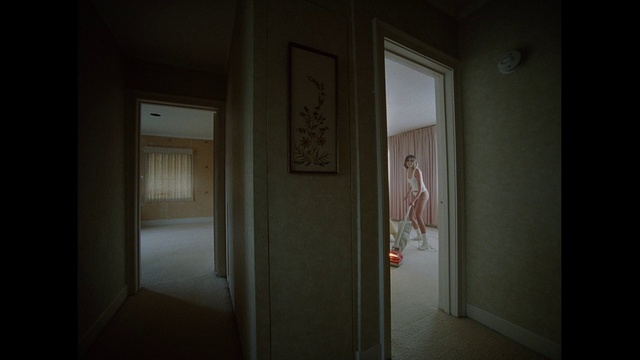 Video Reference: Building, Fixture, Wood, Floor, Flooring, Door, Hall, Handle, Home door, Glass