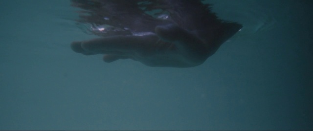 Video Reference: Water, Azure, Fluid, Underwater, Marine biology, Fin, Electric blue, Liquid, Darkness, Recreation