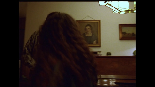 Video Reference: Picture frame, Art, Tints and shades, Wood, Room, Event, Darkness, Visual arts, Painting, Fun