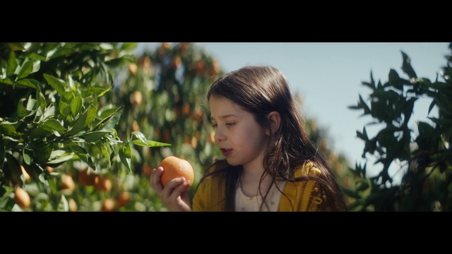Video Reference: People in nature, Flash photography, Happy, Fruit, Grass, Blond, Fun, Brown hair, Fruit tree, Backlighting