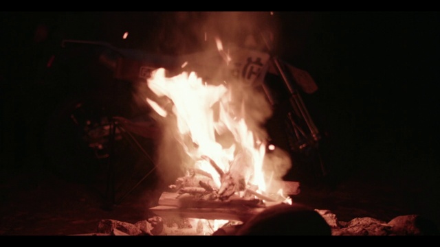 Video Reference: Bonfire, Fire, Flame, Fireplace, Heat, Gas, Campfire, Event, Wood, Darkness