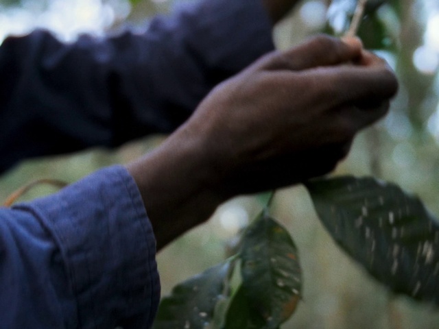 Video Reference: Sleeve, Organism, Gesture, Finger, Grass, Terrestrial plant, Nail, Wrist, Recreation, Thumb