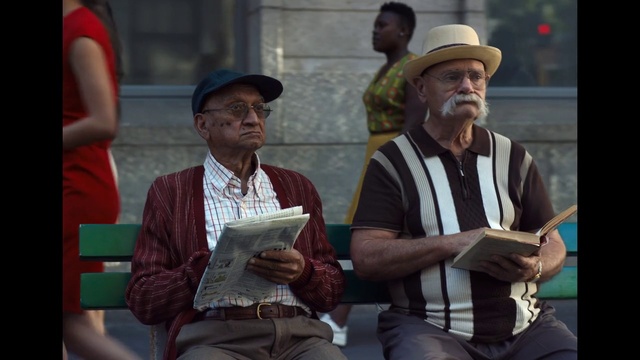 Video Reference: Hat, Vertebrate, Beard, Cap, Sun hat, Fedora, Headgear, Event, Conversation, Street