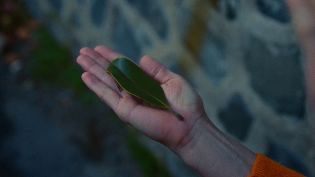 Video Reference: Plant, Automotive lighting, Finger, Thumb, Wood, Tree, Gadget, Nail, Terrestrial plant, Wrist
