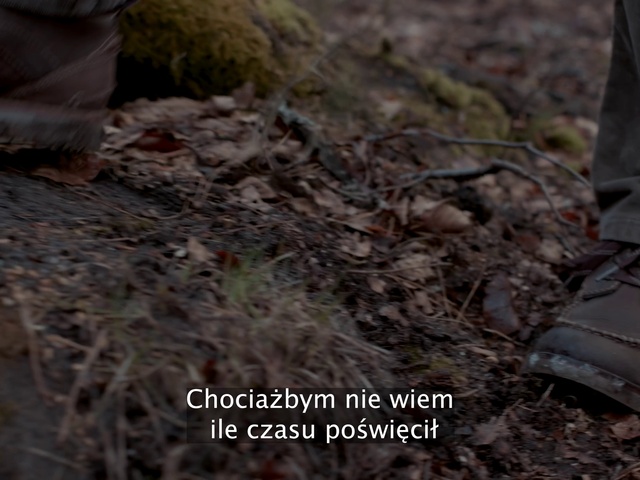 Video Reference: Plant, Wood, Terrestrial plant, Grass, Geological phenomenon, Twig, Groundcover, Asphalt, Automotive tire, Soil