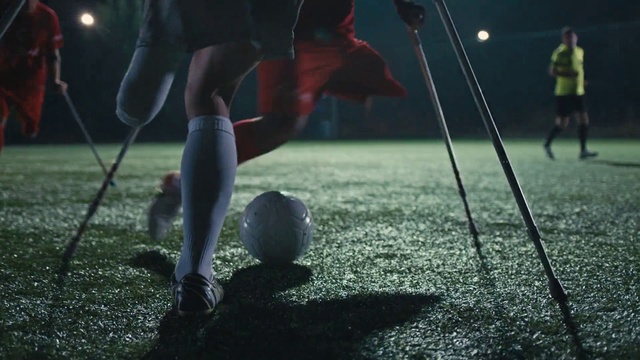 Video Reference: Sports equipment, Ball, People in nature, Grass, Sports, Competition event, Sneakers, Player, Grass family, Fun