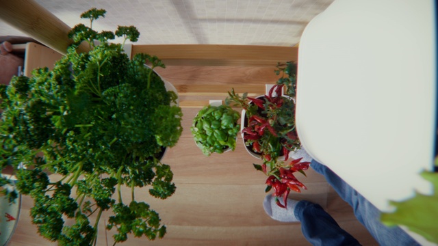 Video Reference: Plant, Houseplant, Wood, Leaf vegetable, Flower Arranging, Vine, Annual plant, Event, Herbaceous plant, Cut flowers